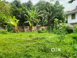 9 Cent Plot for sale in Charummoodu