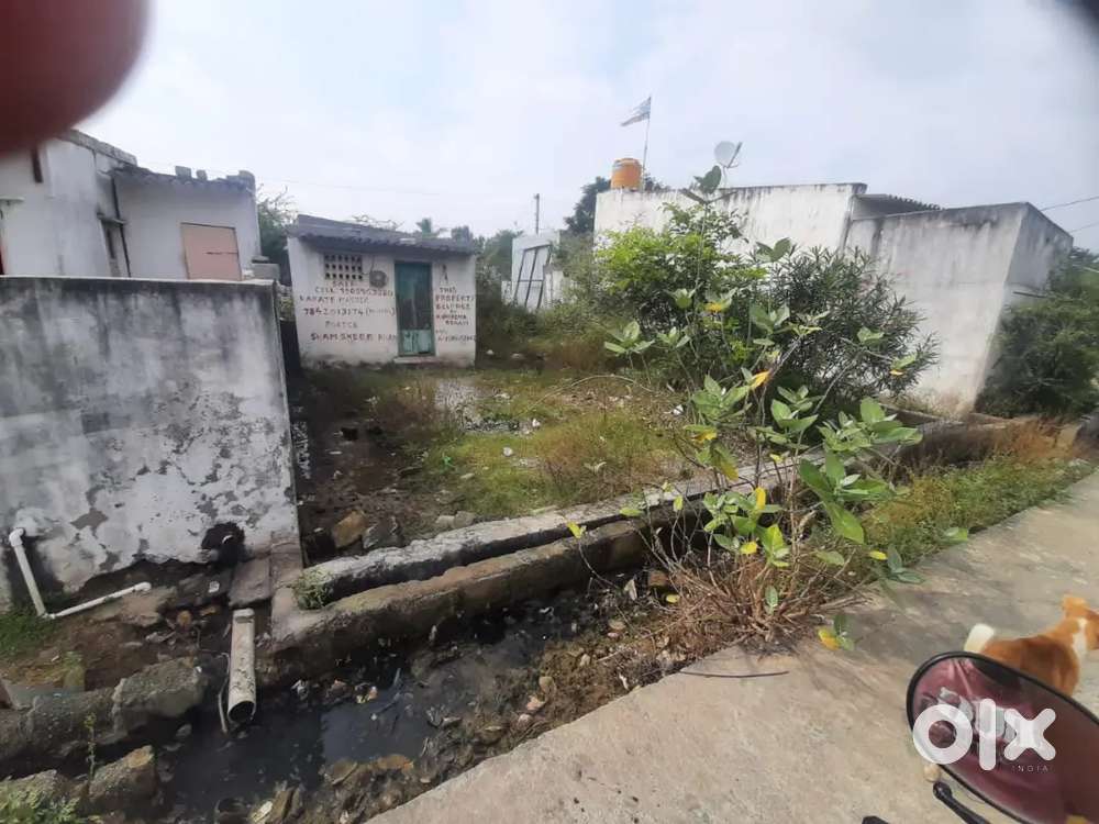 Plot for sale at tirupati airport back side, kurra kaluva.