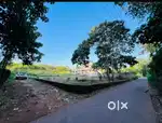 13 cent plot for sale at palikkara payamthottam near infopark