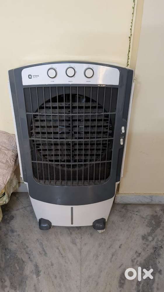 Cooler 1 year old