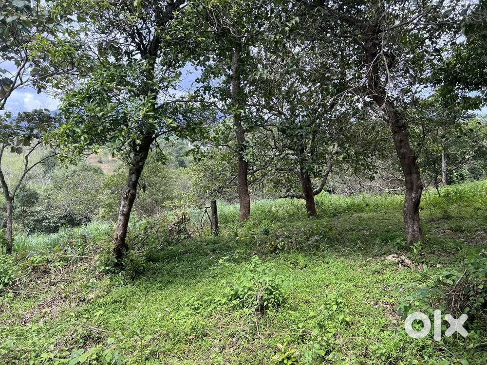 2.60 ACRE RESORT/VILLA/INVESTMENT PURPOSE LAND FOR SALE IN KANIYARAM.