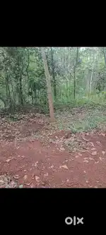 Plot for Sale 10 cent in Mariyapuram