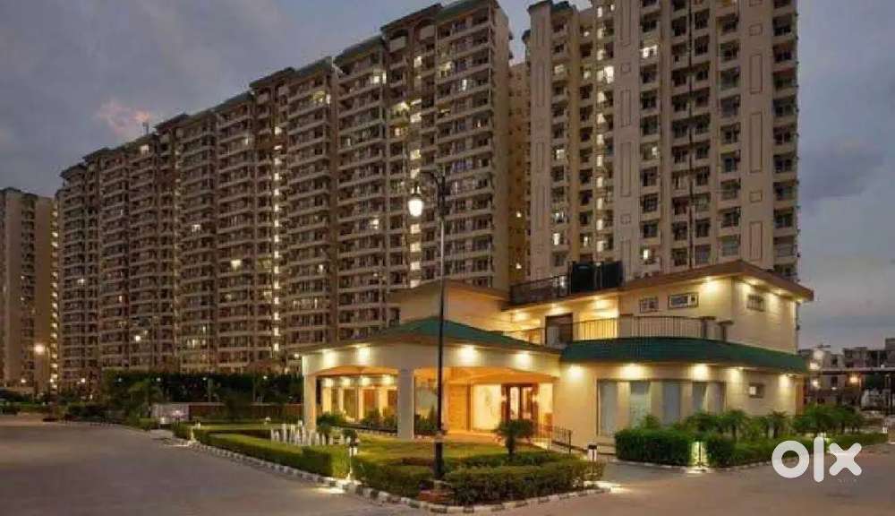 We want 2-3 telecallars for real estate work, in sector 91 Mohali.