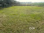 Agriculture land / agricultural land