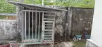 Pet cage for dogs