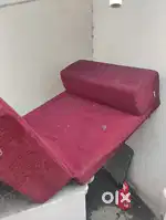 Bed Cum Sofa