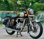 2023 classic crome brown reborn