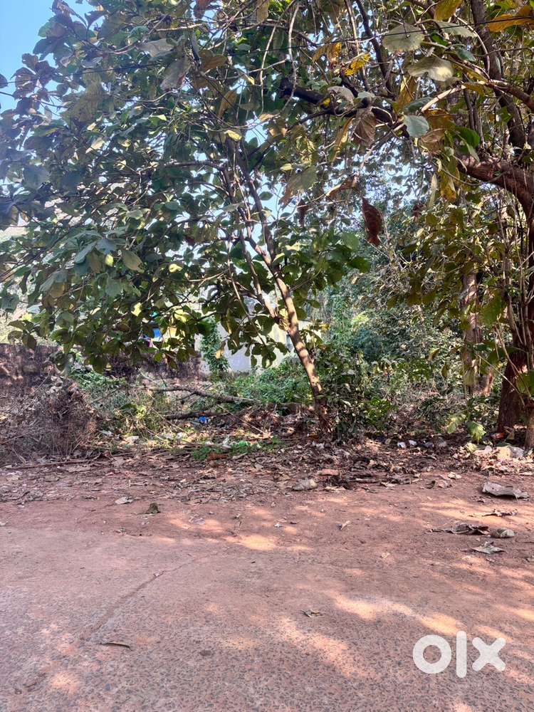 2 Gunth land for sale