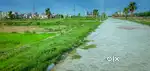 115sqyd corner plot mohali