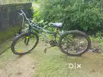 Gang catcher bicycle for 11 years old boy