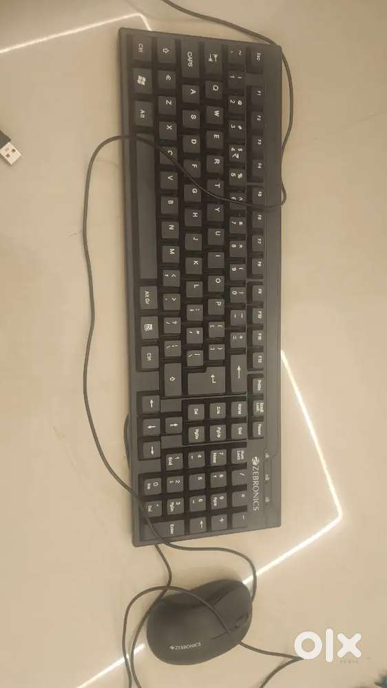 Zebronics Mause and keyboard