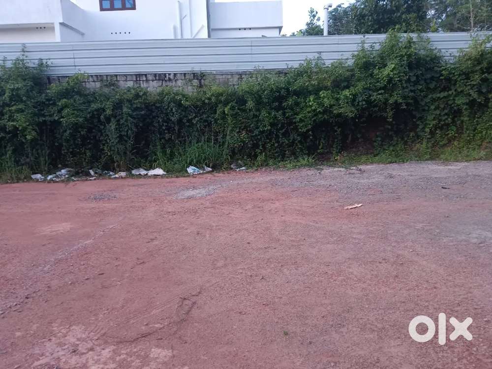 20cent house plot for sale in agasthyakod anchal komalam