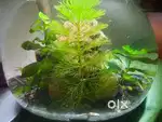 Aquarium All solutions and services