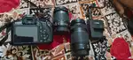 CANON 1200D