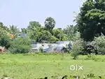 1500 SQFT PLOT 18 Lacs only GUDUVANCHERY