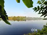 40Cent Waterfront Plot With Old House Near Varapuzha Town