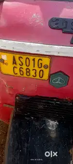 Ape auto driver