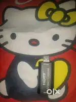 HDMI to USB converter