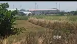 Plott hi plott saifai dumilla par