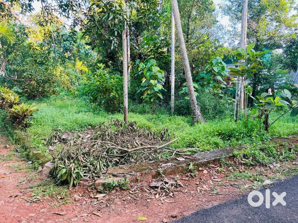 10 cent plot for sale in kombidy. 100 meter from main road.