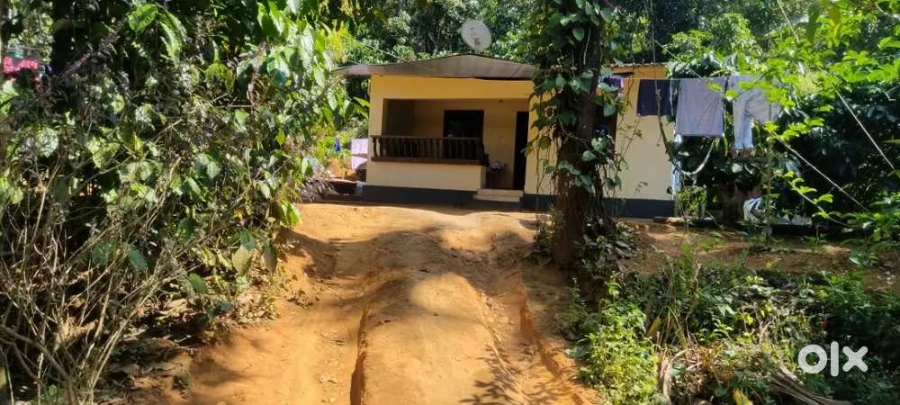 വയനാട് 
കൽപ്പറ്റ ബ്ലോക്കിൽ 
43 സെന്റ് 
സ്ഥലവും 
ഒരു വീടും 
ടുറിസ്റ്റ്