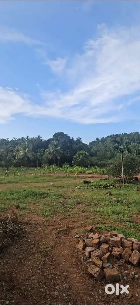 17 cent Housing Plot For sale at Neruvambram Payagadi