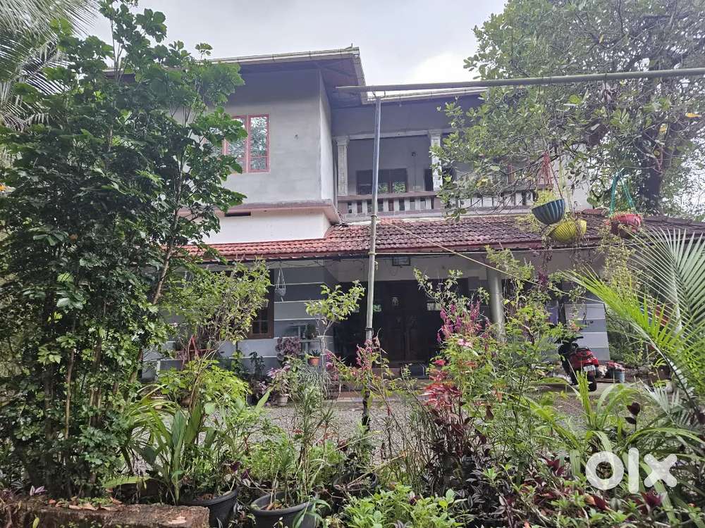 4 acre land with separated house