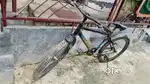 Sunbird cycle Roja Jalalpur Royal Residency Colony