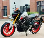 2023 Yamaha  Mt 15
