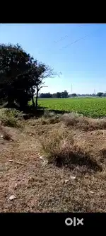 3 bigha land attach with Agra mumbai highway in dewas