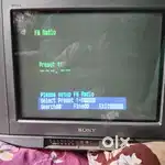 Sony  trinitrone color tv