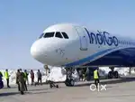 Cabin Crew/ Airport Ground Staff Jobs in Indigo airlines.