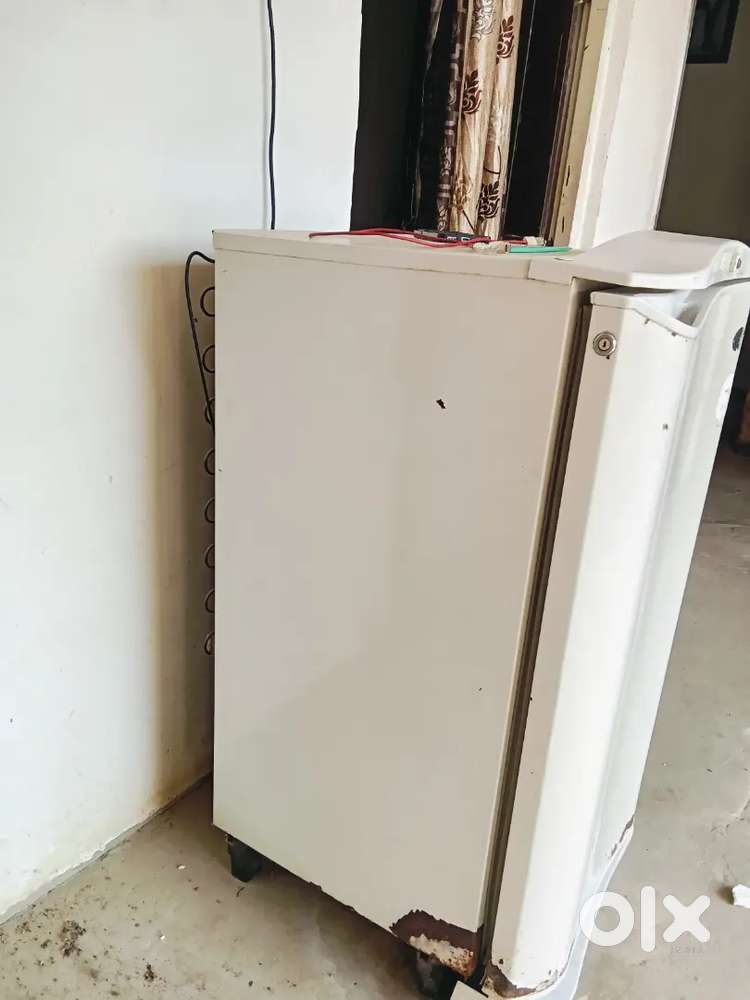 Godrej frizz