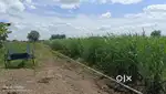 Agricultural land for sale with farm pond(krishi honda)and equipments