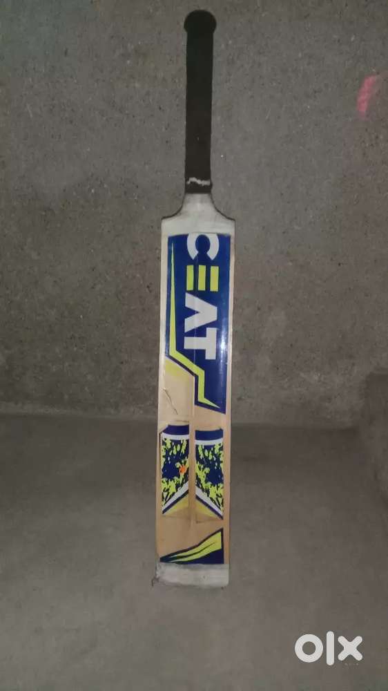 Cricket set