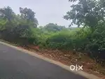 5 acre ORIGINAL LAND FOR SALE AT KOLANCHERI