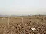 From Land to Legacy
