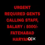 Gents Calling Staff Required Fatehabad haryana