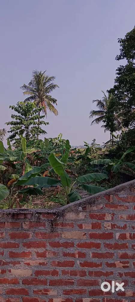 Plot near Madanpur Station