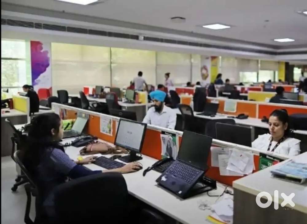 Best opportunity for freshers