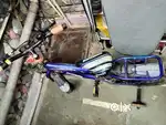 Kids/Child bicycle for 3–10 Years  6 Months Old