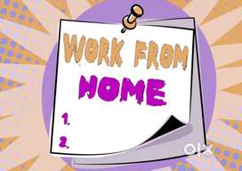 FEMALE FRESHER CAN APPLY