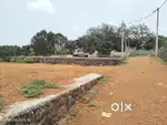 Chottanikkara Eruvely plot for sale