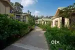 Sterling & Club Mahindra Holiday's On Rental Starting @ Just 2999 only