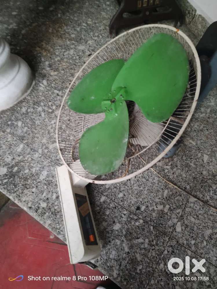 Wall fan crompton