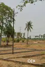 बिलासपुर से कोटा रोड में शानदार प्रीमियम फॉर्म हाउस