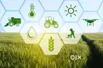 *A 4 AGRO ASSOCIATES BHOPAL