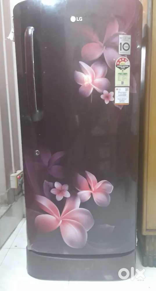 LG Refrigerator 215L