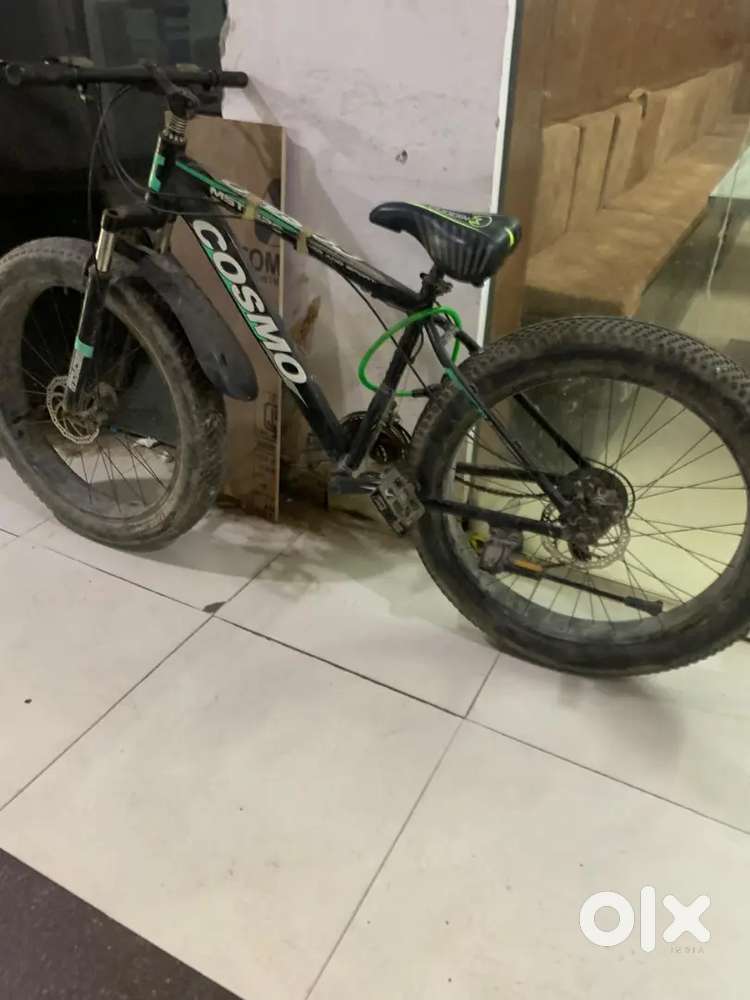 Cosmo Cycle