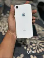 iphone xr.